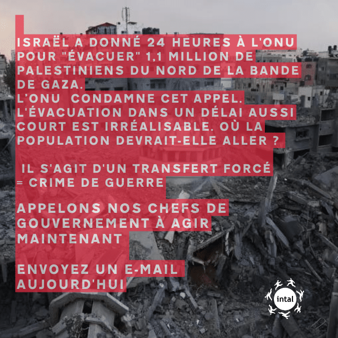 URGENT : écrivez MAINTENANT au gouvernement belge pour qu’il mette fin au transfert forcé des habitants de Gaza